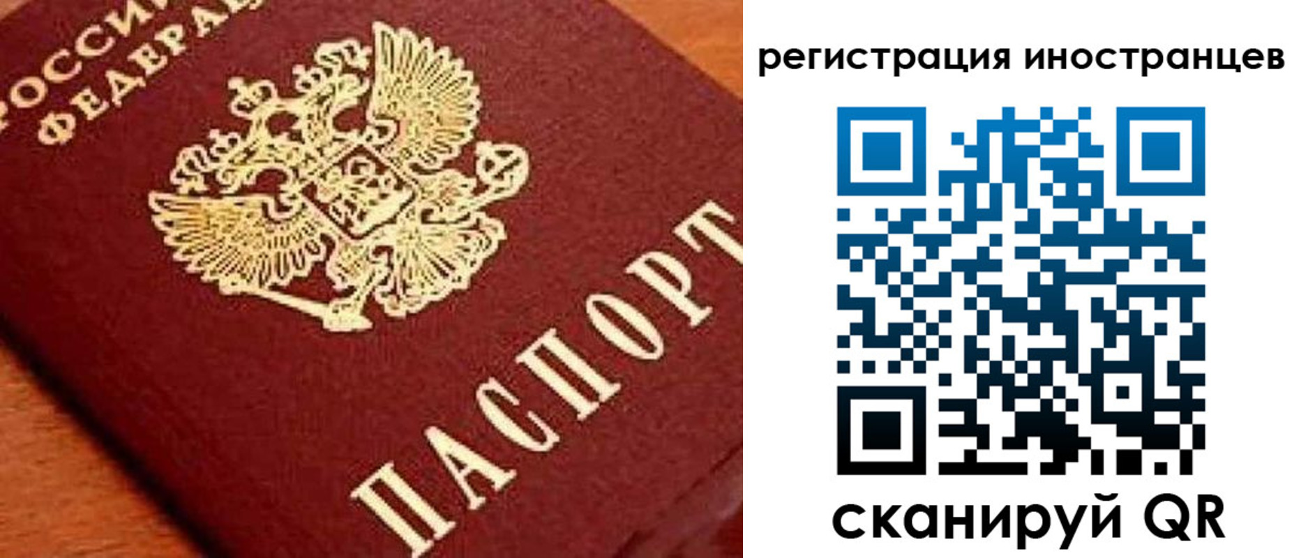 прописка для школы в Углегорске